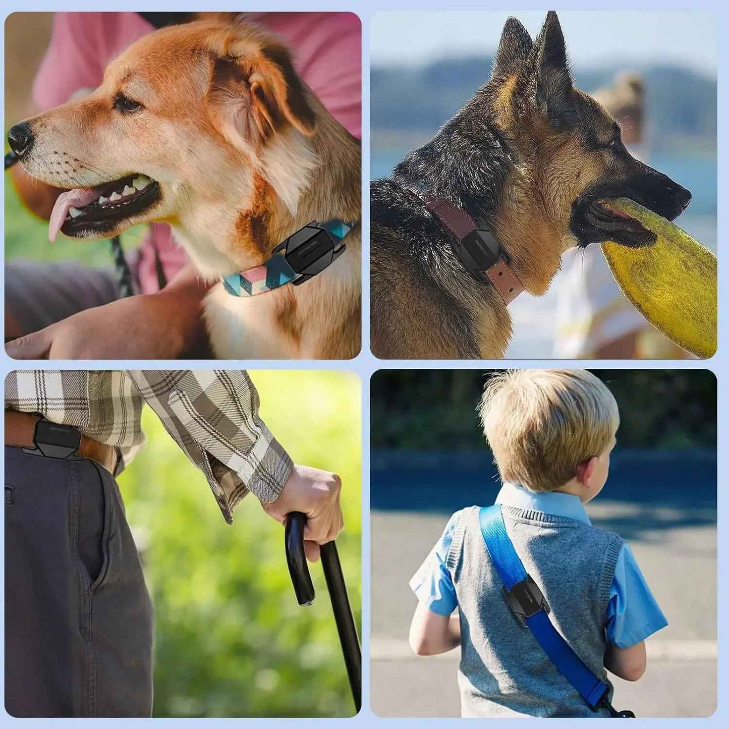 Étui AirTag pour chiens : gardez votre animal en sécurité