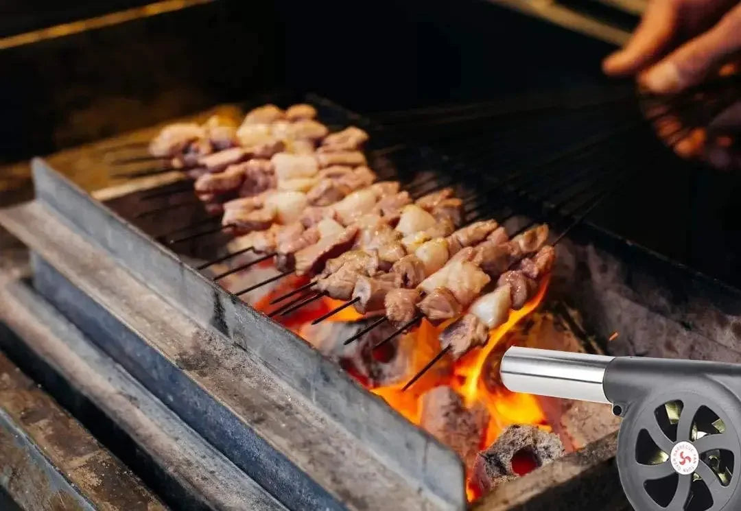 Souffleur à main pour barbecue