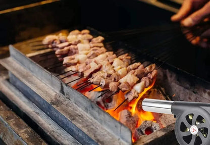 Souffleur à main pour barbecue